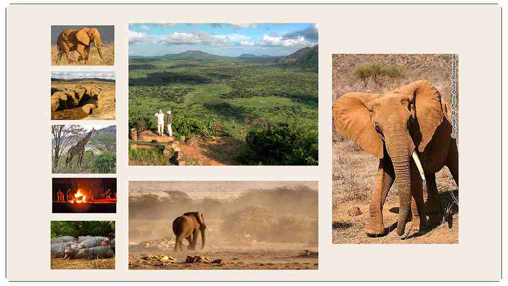 Safaris Tsavo Est Kenya