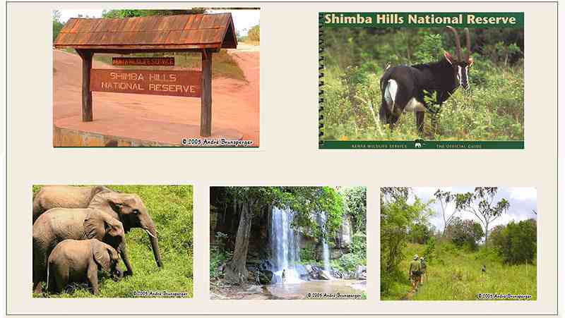 Excursion et mini safari Shimba Hills